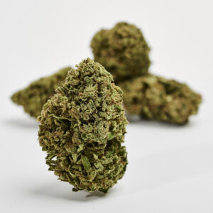 Bubble Gum CBD