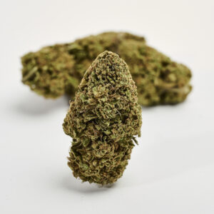 Mini Buds Y GRIEGA CBD