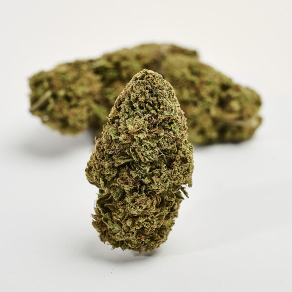 Mini Buds Y GRIEGA CBD