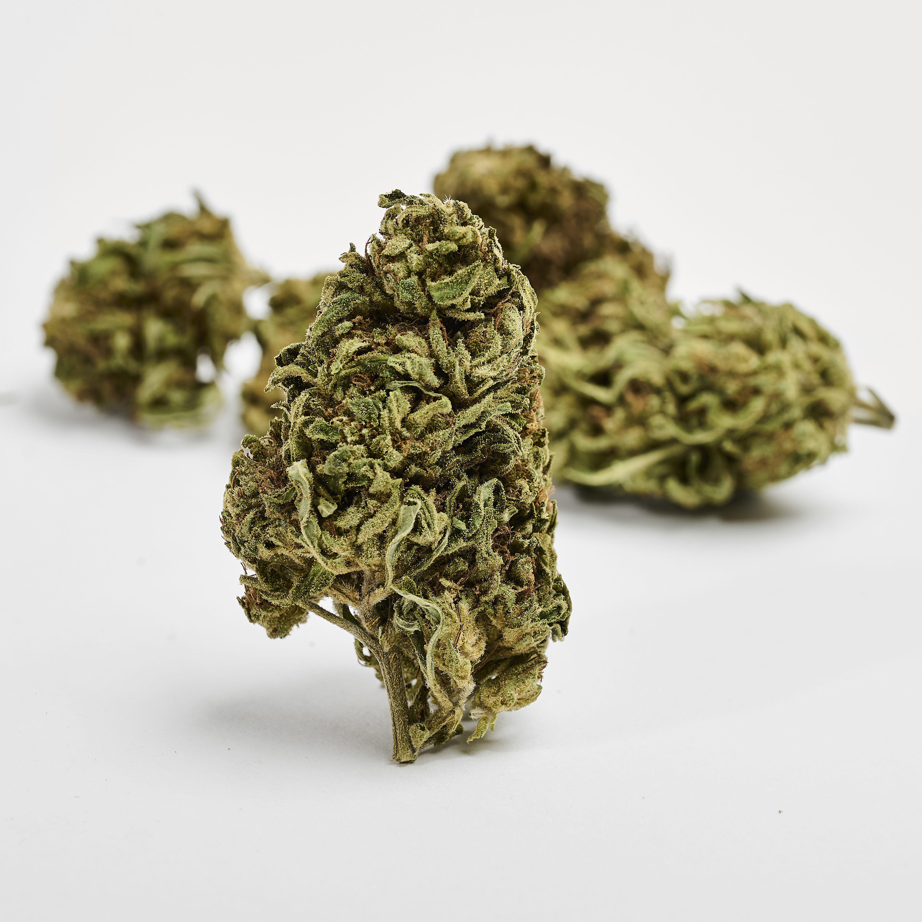 Mini Buds MEDICINAL GRAPE CBD