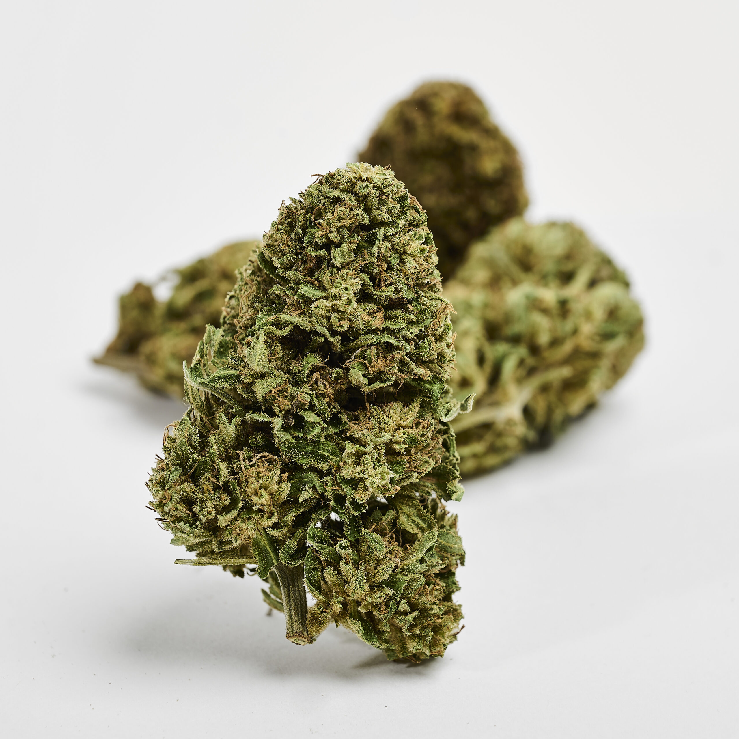 Mini Buds Recovery CBD