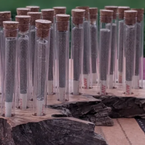 Pre-roll CBD